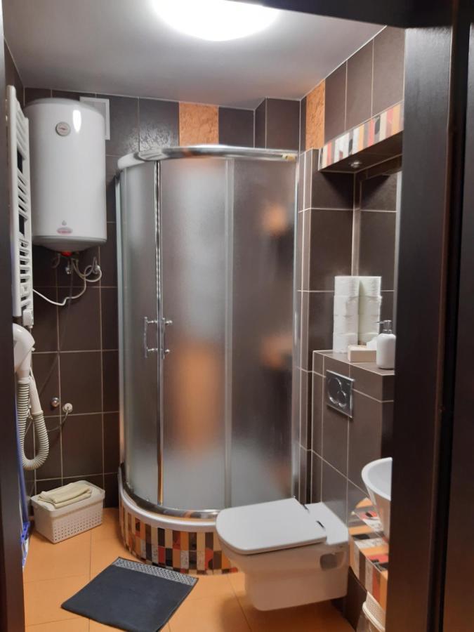Roza 1 Sauna & Jacuzzi Jaszczurowka 21a Apartment *